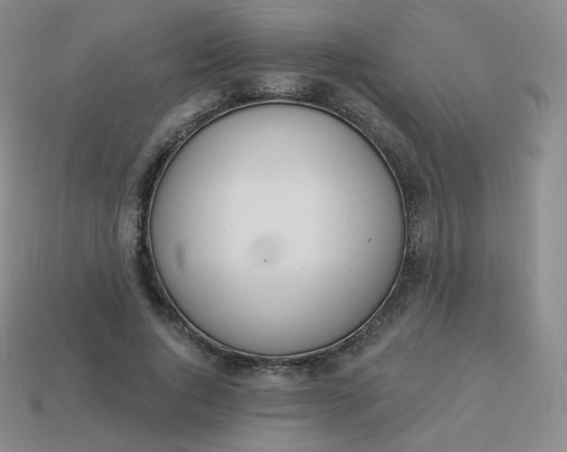 X0000114000736200910161708
