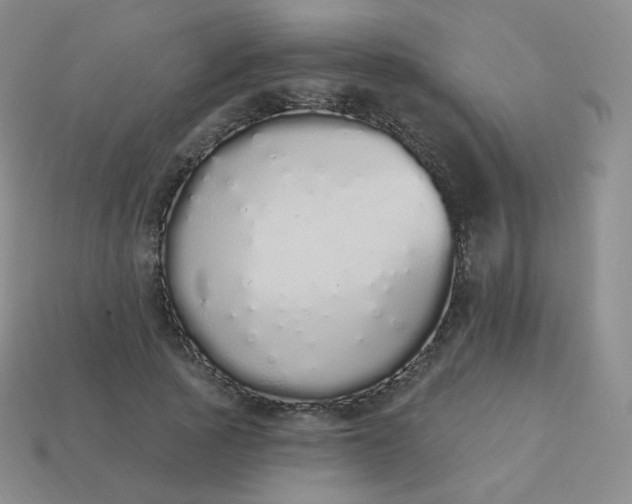 X0000114000737200910161708