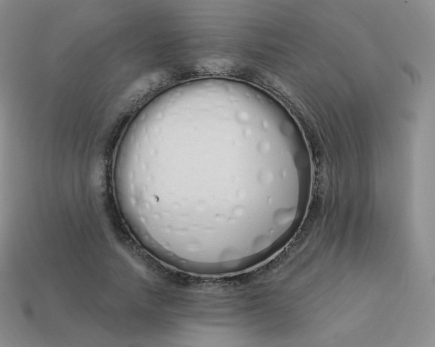 X0000114000738200910161708