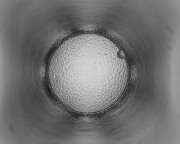 X0000114000739200910161708