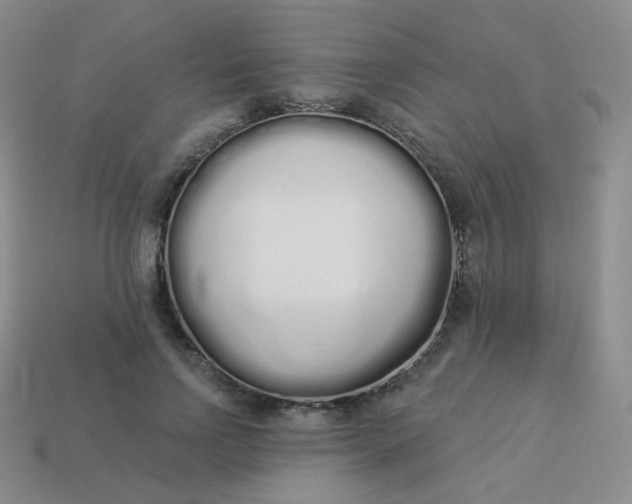 X0000114000742200910161708