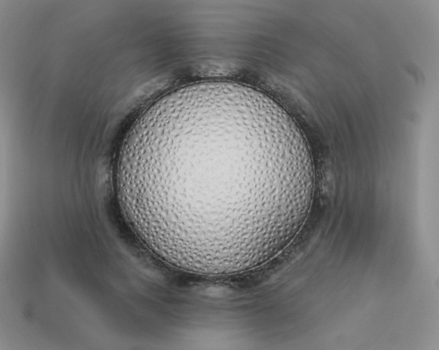 X0000114000743200910161708