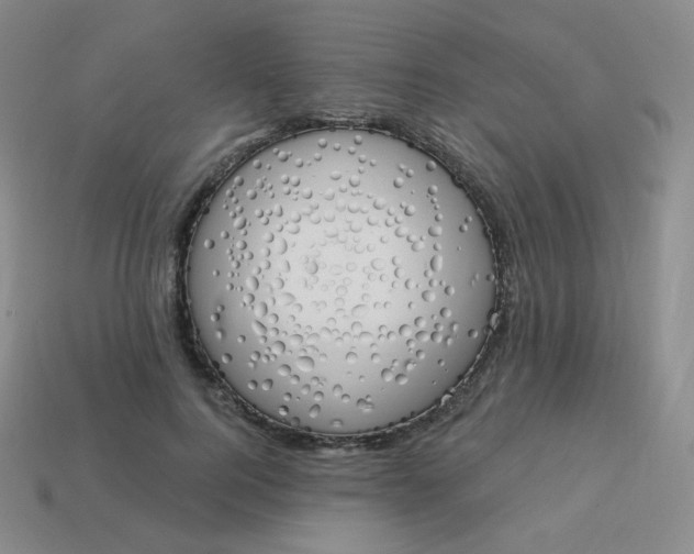 X0000114000744200910161708