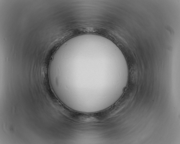 X0000114000747200910161708