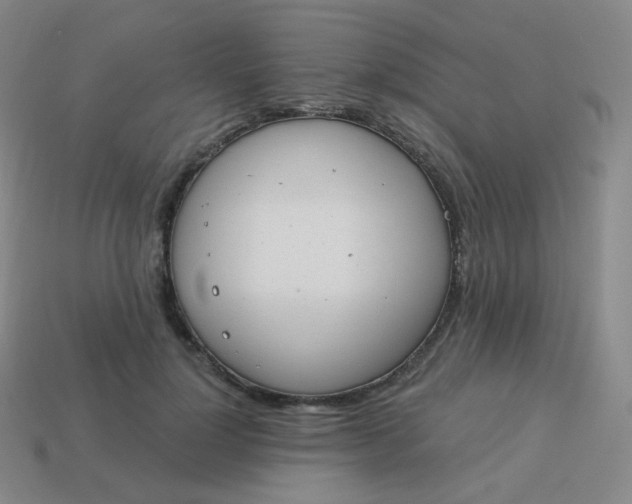 X0000114000748200910161709