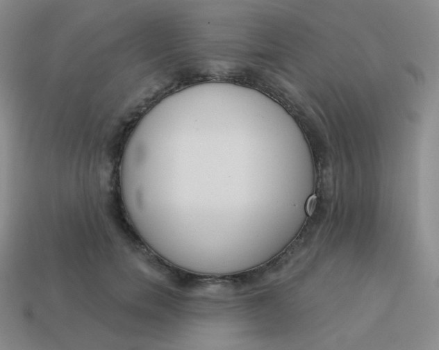 X0000114000750200910161709