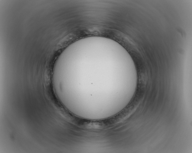 X0000114000751200910161709
