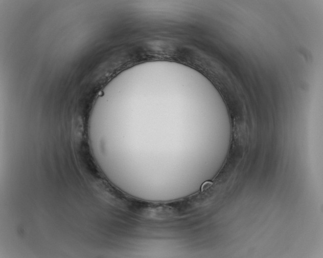 X0000114000752200910161709