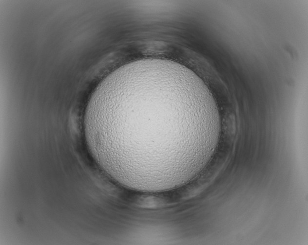 X0000114000755200910161709