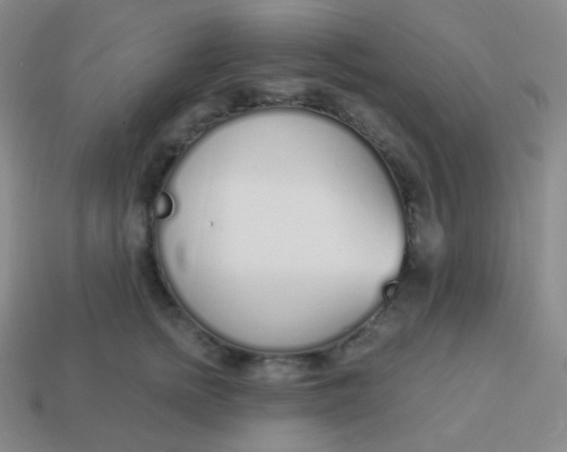 X0000114000758200910161709