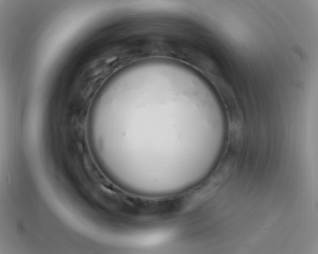 X0000114000765200910161709