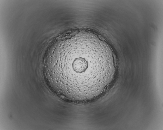 X0000114000769200910161708