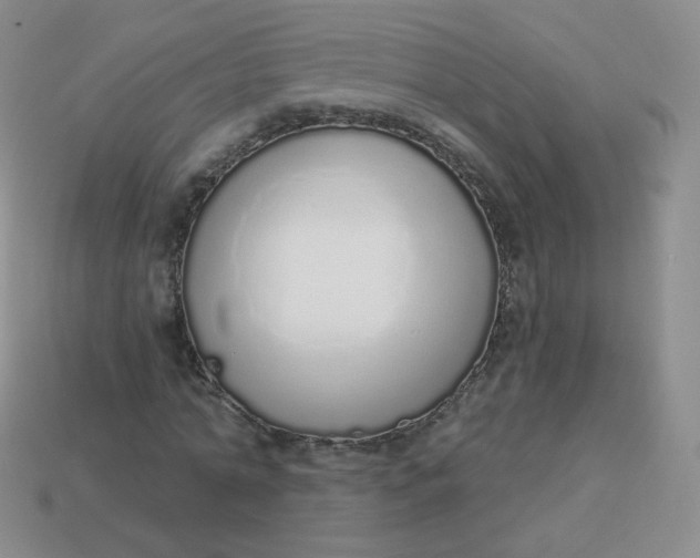 X0000114000774200910161708