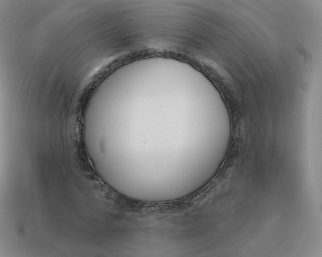 X0000114000776200910161708