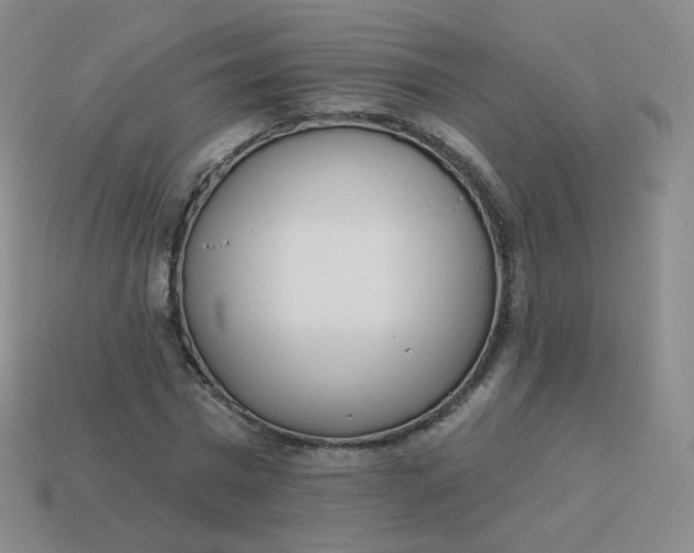 X0000114000777200910161708
