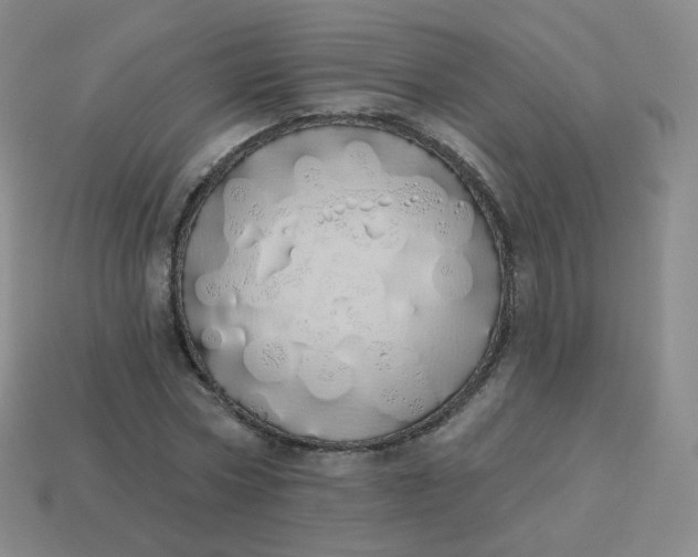 X0000114000778200910161708