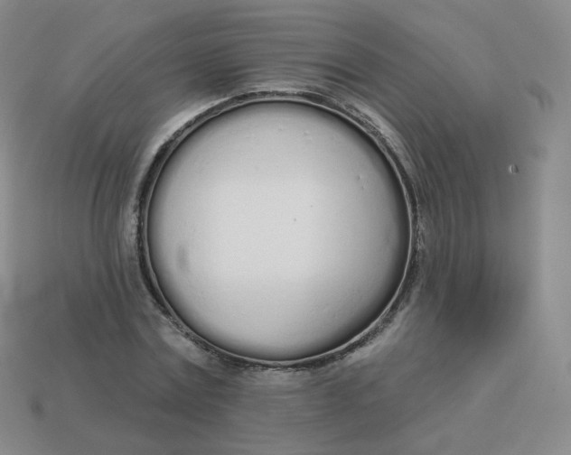 X0000114000779200910161708