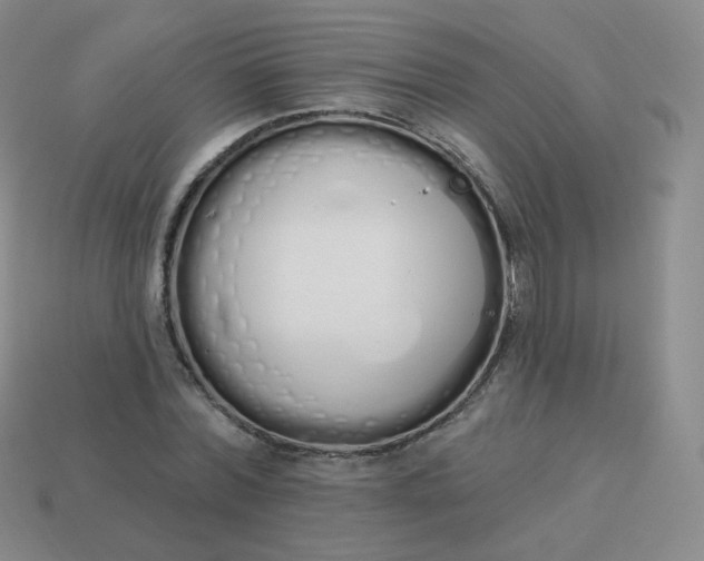 X0000114000780200910161708