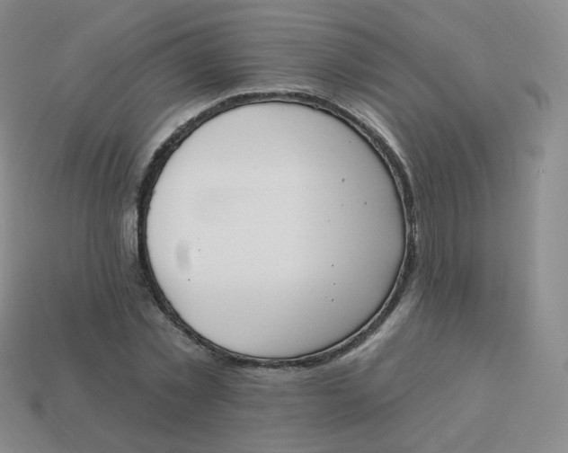 X0000114000781200910161708