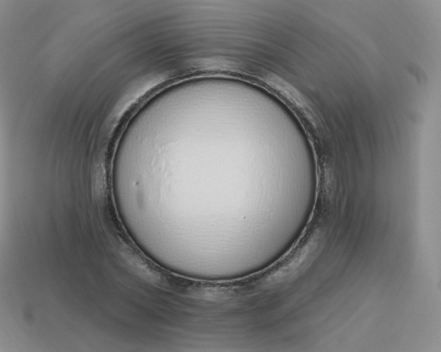 X0000114000782200910161708