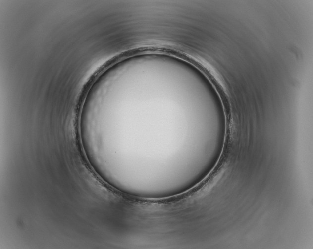 X0000114000783200910161708