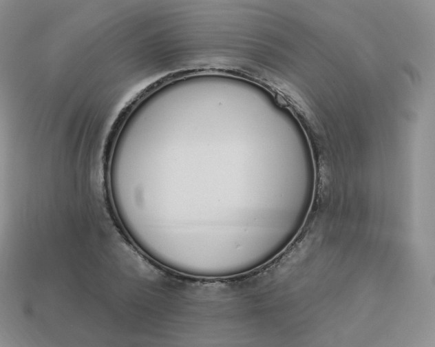 X0000114000784200910161708