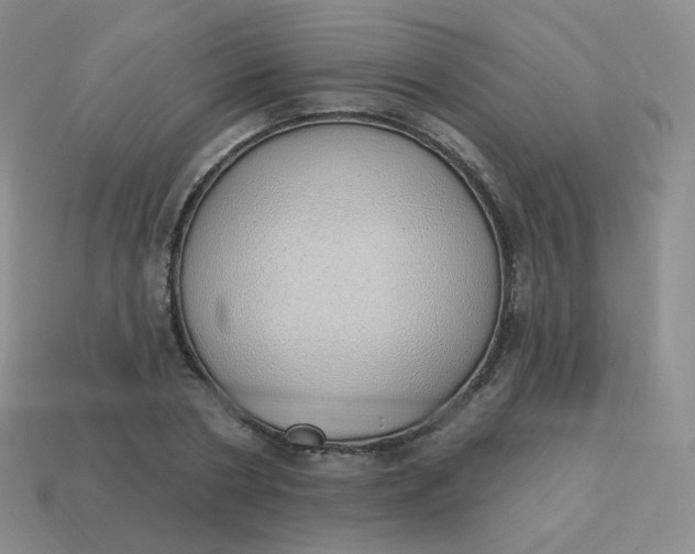 X0000114000786200910161708