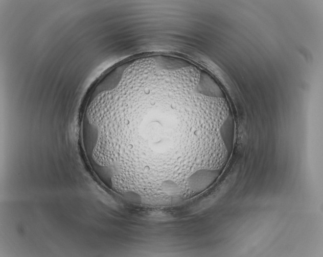 X0000114000787200910161708