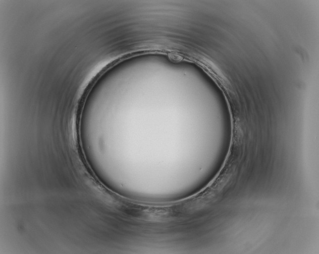 X0000114000788200910161708