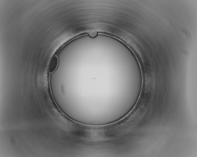 X0000114000789200910161708