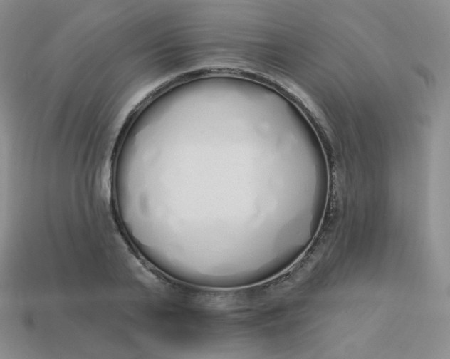 X0000114000791200910161708