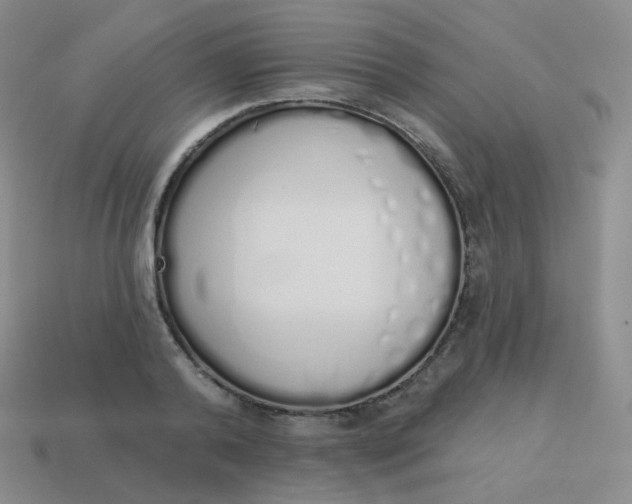 X0000114000792200910161708