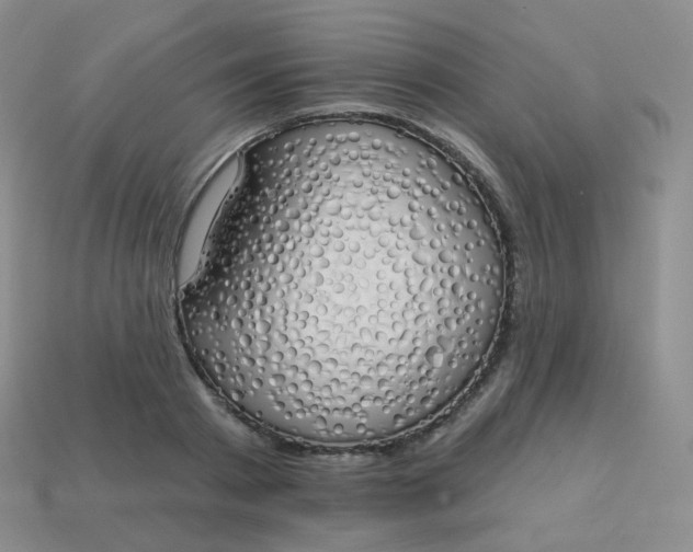 X0000114000793200910161708