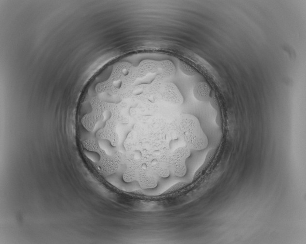 X0000114000794200910161708