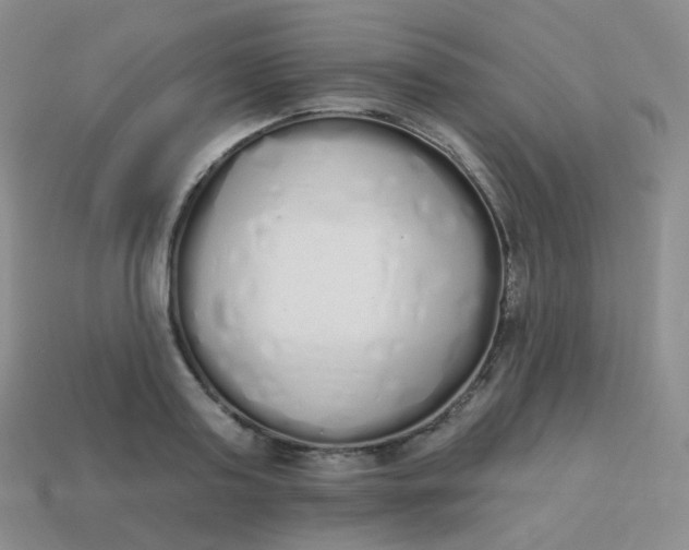 X0000114000795200910161708