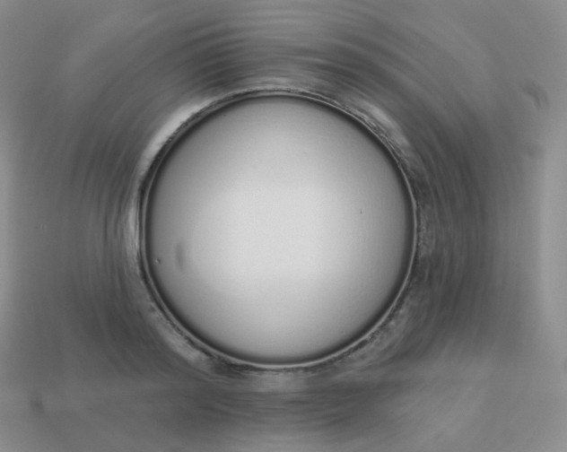 X0000114000796200910161708