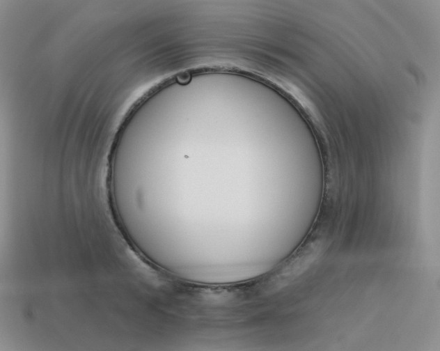 X0000114000799200910161708