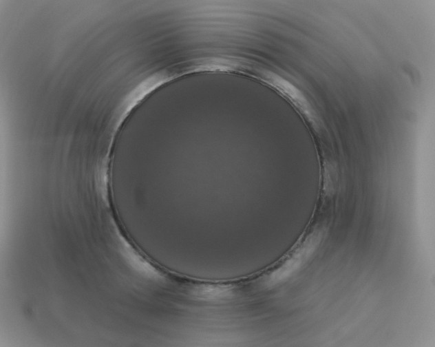 X0000114000802200910161708