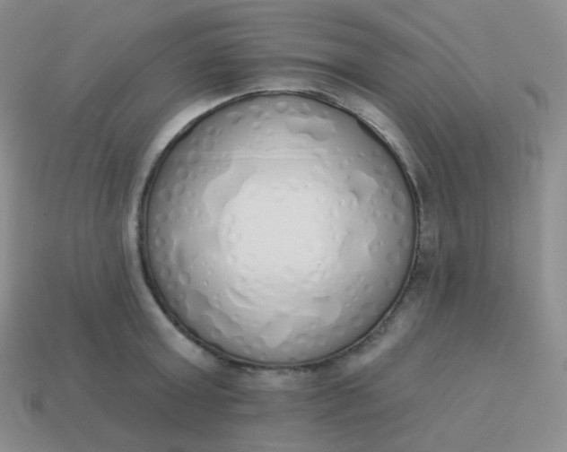 X0000114000803200910161708