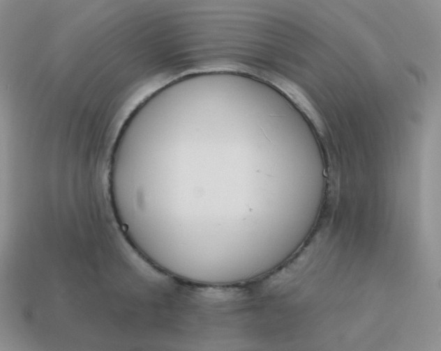X0000114000805200910161708