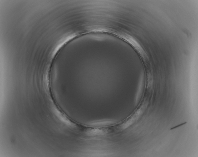 X0000114000806200910161708
