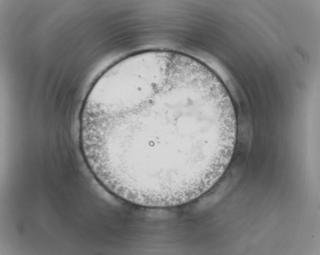 X0000114000807200910161708