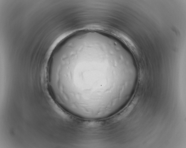 X0000114000808200910161708