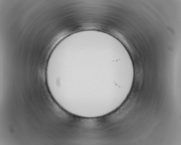 X0000114000810200910161708