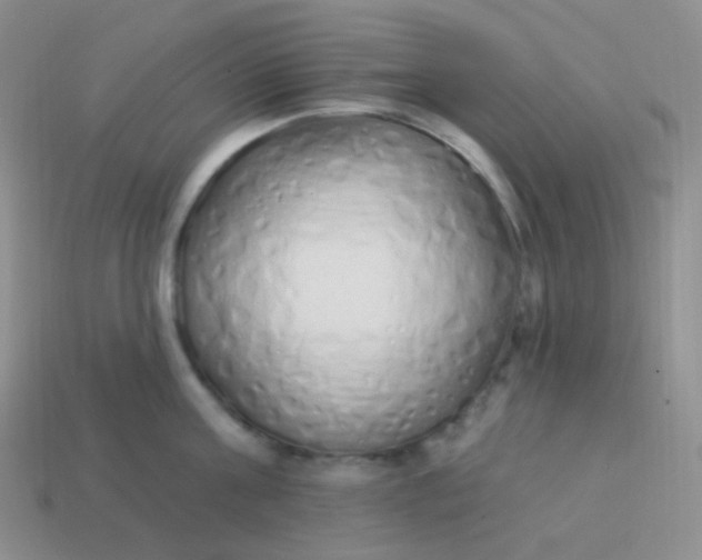 X0000114000811200910161708