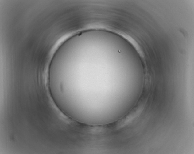 X0000114000815200910161708