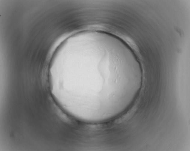 X0000114000816200910161707