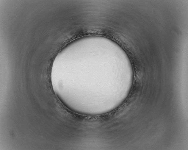 X0000114000817200910161707