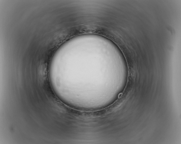 X0000114000818200910161707