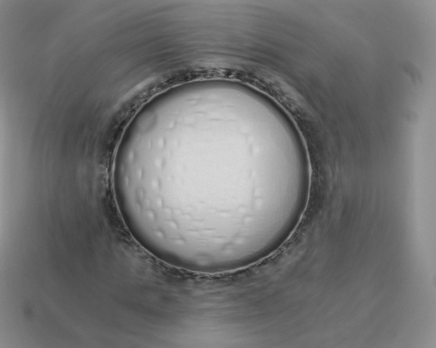 X0000114000821200910161707